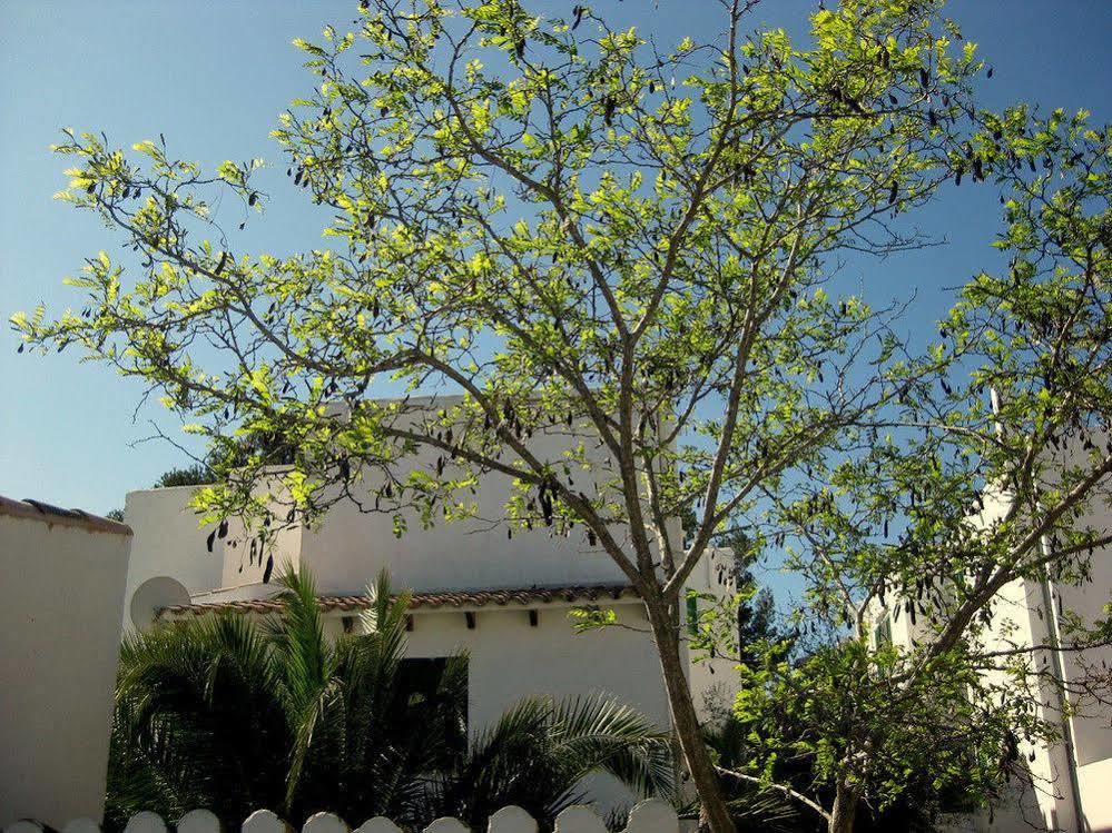 ホテル Casa Ceiba Maria Cala D´Or エクステリア 写真